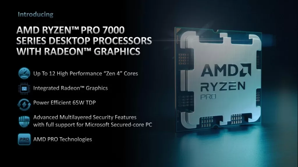 AMD large