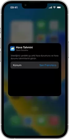 Nasıl Yapılır: iOS'ta Araç Takımı Ekleme ve Düzenleme