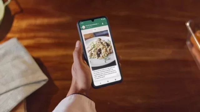 whatsapp large