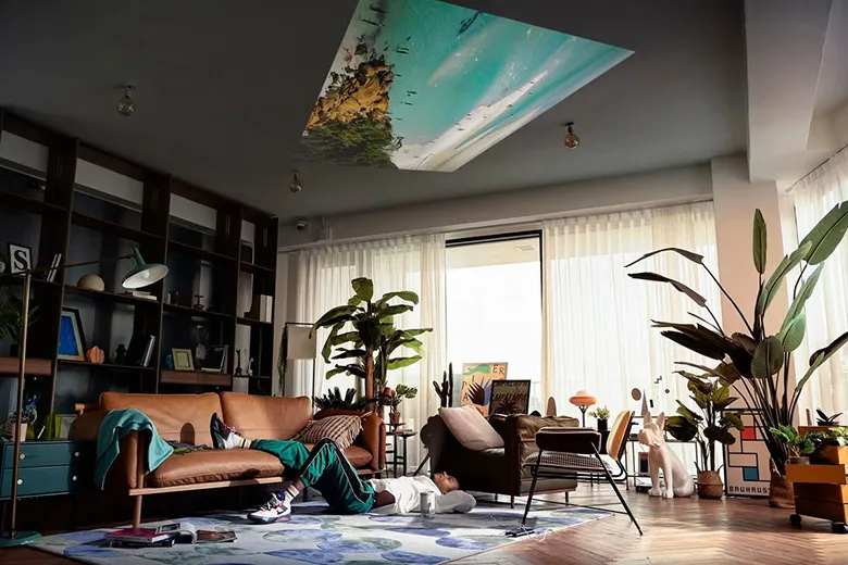 The Freestyle Plafond