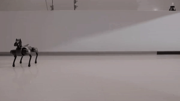 ezgif com video