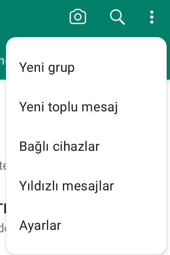 WhatsApp Hesabınıza Profiller Nasıl Eklenir