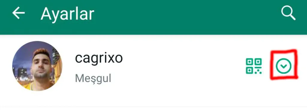 WhatsApp Hesabınıza Profiller Nasıl Eklenir