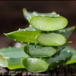 Aloe Vera Nasıl Kullanılır? Cilt ve Sağlık İçin 7 Pratik Yöntem