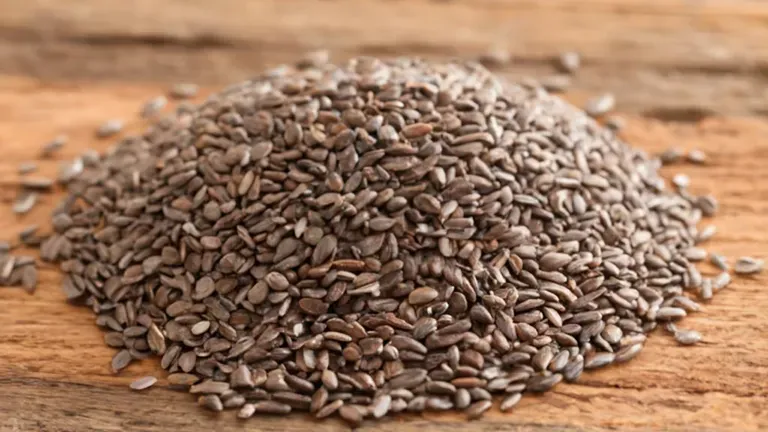 Chia Tohumu Nasıl Tüketilir? Faydaları, Zayıflama ve Tarif Önerileri