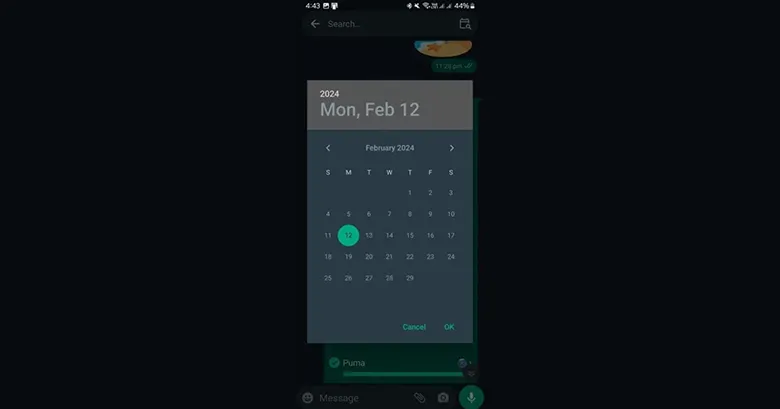 WhatsApp Android Kullanıcıları Tarihe Göre Mesaj Arayabilecek