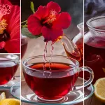 Hibiskus Çayı Nasıl Yapılır?