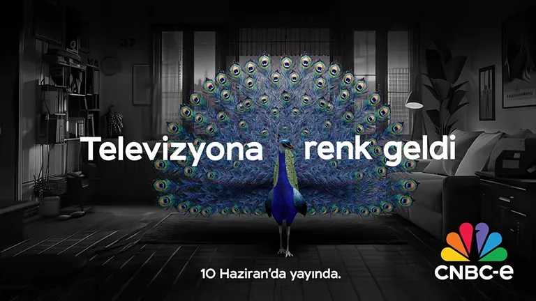 CNBC-e, 10 Haziran'da Türkiye'de Yayım Hayatına Yeniden Başlayacak