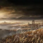 Elden Ring’in Yeni DLC’si Shadow of the Erdtree Oyuncuları İkiye Böldü