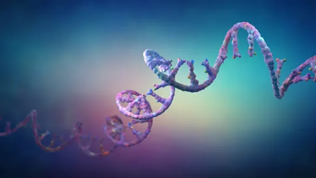 2024 Nobel Tıp Ödülünü MicroRNA'nın Keşfi Kazandı