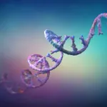 2024 Nobel Tıp Ödülünü MicroRNA'nın Keşfi Kazandı