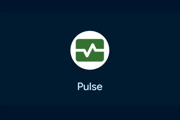 Google’ın Android Pulse uygulaması Play Store güncellemelerinde göründü
