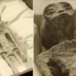 Meksika'da Üç Parmaklı 'Uzaylı Fosilleri' Ortaya Çıktı: Evrende Yalnız Mıyız?