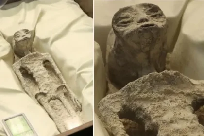 Meksika'da Üç Parmaklı 'Uzaylı Fosilleri' Ortaya Çıktı: Evrende Yalnız Mıyız?