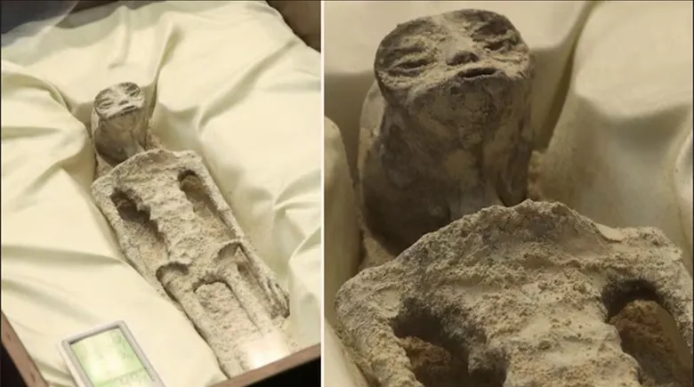 Meksika'da Üç Parmaklı 'Uzaylı Fosilleri' Ortaya Çıktı: Evrende Yalnız Mıyız? Meksika'da Üç Parmaklı 'Uzaylı Fosilleri' Ortaya Çıktı: Evrende Yalnız Mıyız?