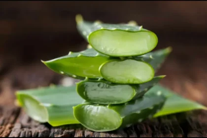 Aloe Vera Nasıl Kullanılır? Cilt ve Sağlık İçin 7 Pratik Yöntem