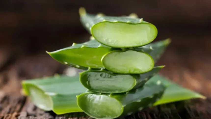 Aloe Vera Nasıl Kullanılır? Cilt ve Sağlık İçin 7 Pratik Yöntem