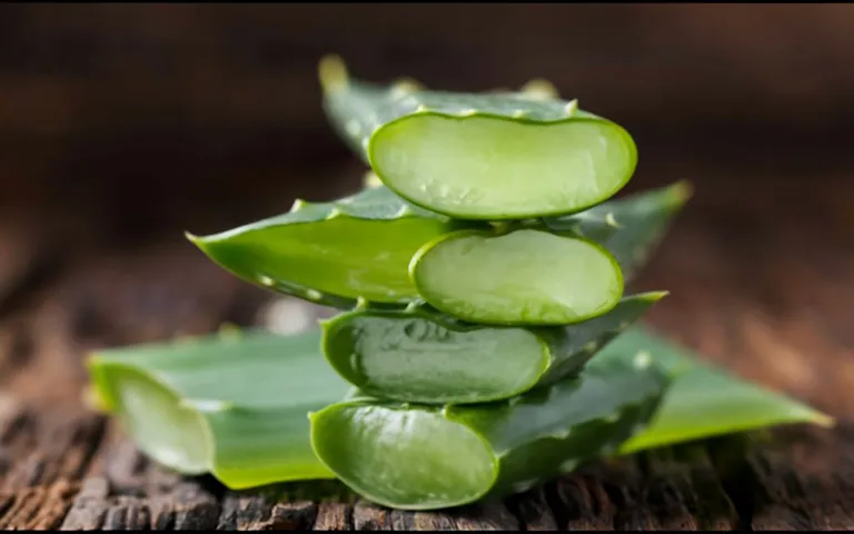 Aloe Vera Nasıl Kullanılır? Cilt ve Sağlık İçin 7 Pratik Yöntem