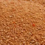 Tarhana Nasıl Yapılır? İşte Size Kolay ve Doğal Tarhana Tarifi