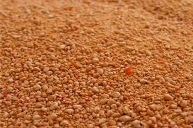 Tarhana Nasıl Yapılır? İşte Size Kolay ve Doğal Tarhana Tarifi