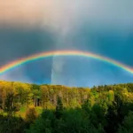 Gökkuşağı Nasıl Oluşur? Işık ve Su Damlalarının Renkli Hikayesi