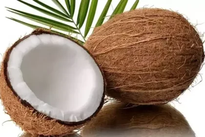 Hindistan Cevizi Nasıl Yenir?