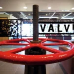 Valve’ın Yeni Oyunu ‘Deadlock’ Sızdırıldı: Fantastik Dünyada 6v6 Savaş!