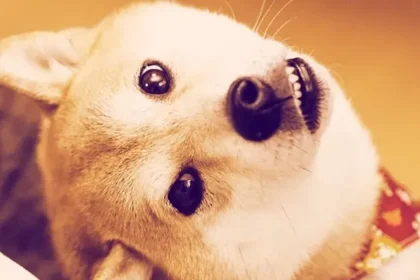 Dogecoin’in Sevimli Yüzü Kabosu Aramızdan Ayrıldı