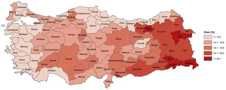 TÜİK, "İstatistiklerle Gençlik" Raporunu Paylaştı! TÜİK, "İstatistiklerle Gençlik" Raporunu Paylaştı!