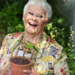 Meta, Yapay Zekâ Seslendirmesi İçin Ünlü İsimlerle Anlaştı