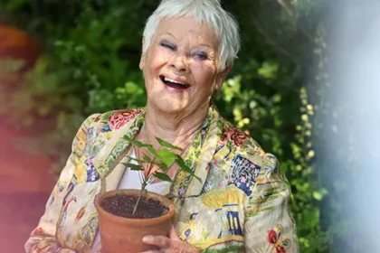 Meta, Yapay Zekâ Seslendirmesi İçin Ünlü İsimlerle Anlaştı