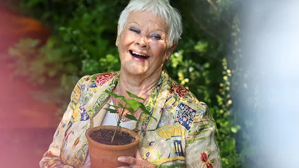 Meta, Yapay Zekâ Seslendirmesi İçin Ünlü İsimlerle Anlaştı